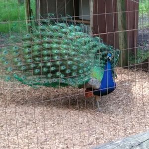 Meet your Posher, Hillary